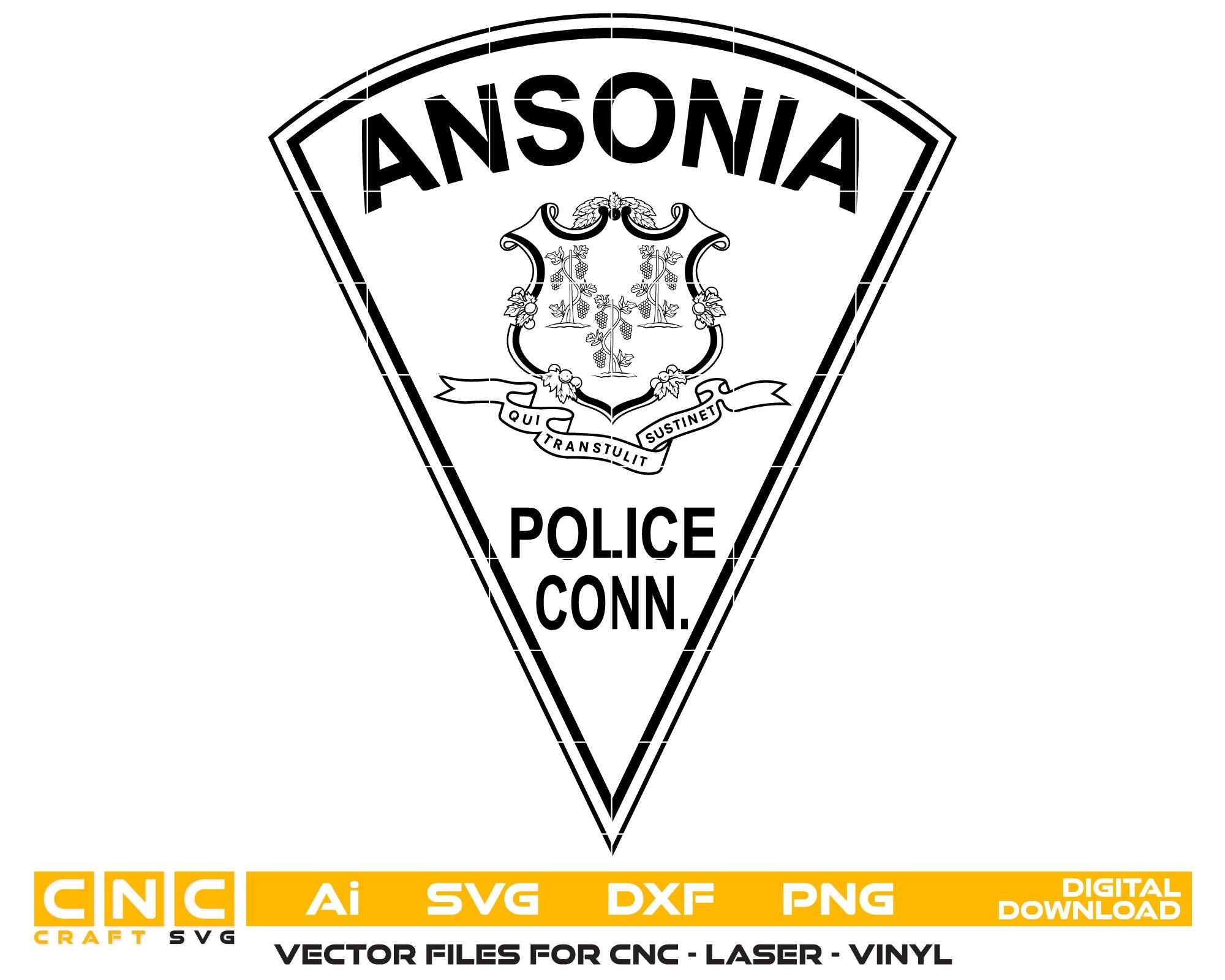 Logo of Ansonia Police Department, Connecticut on a white background.
Ansonia Police Department patch
Ansonia Police Department