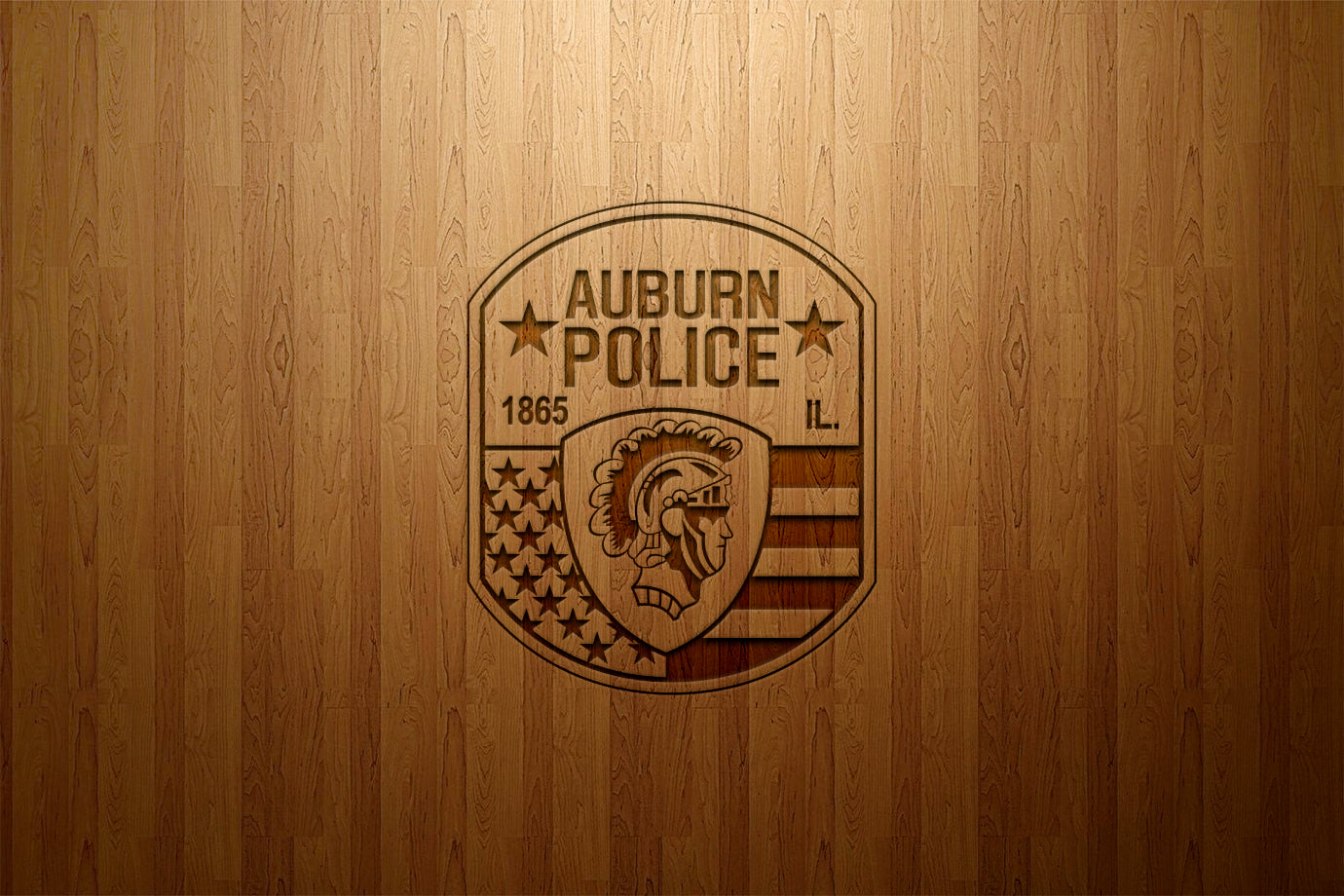 Auburn Police Department Patch, Illinois