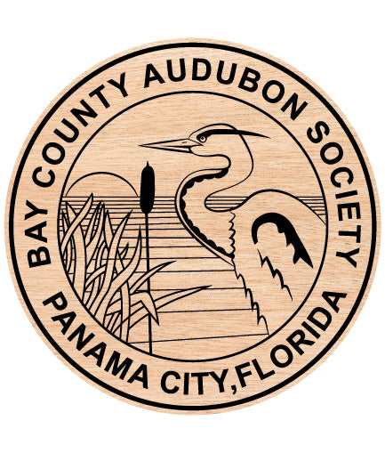 Bay County Audubon Society Seal