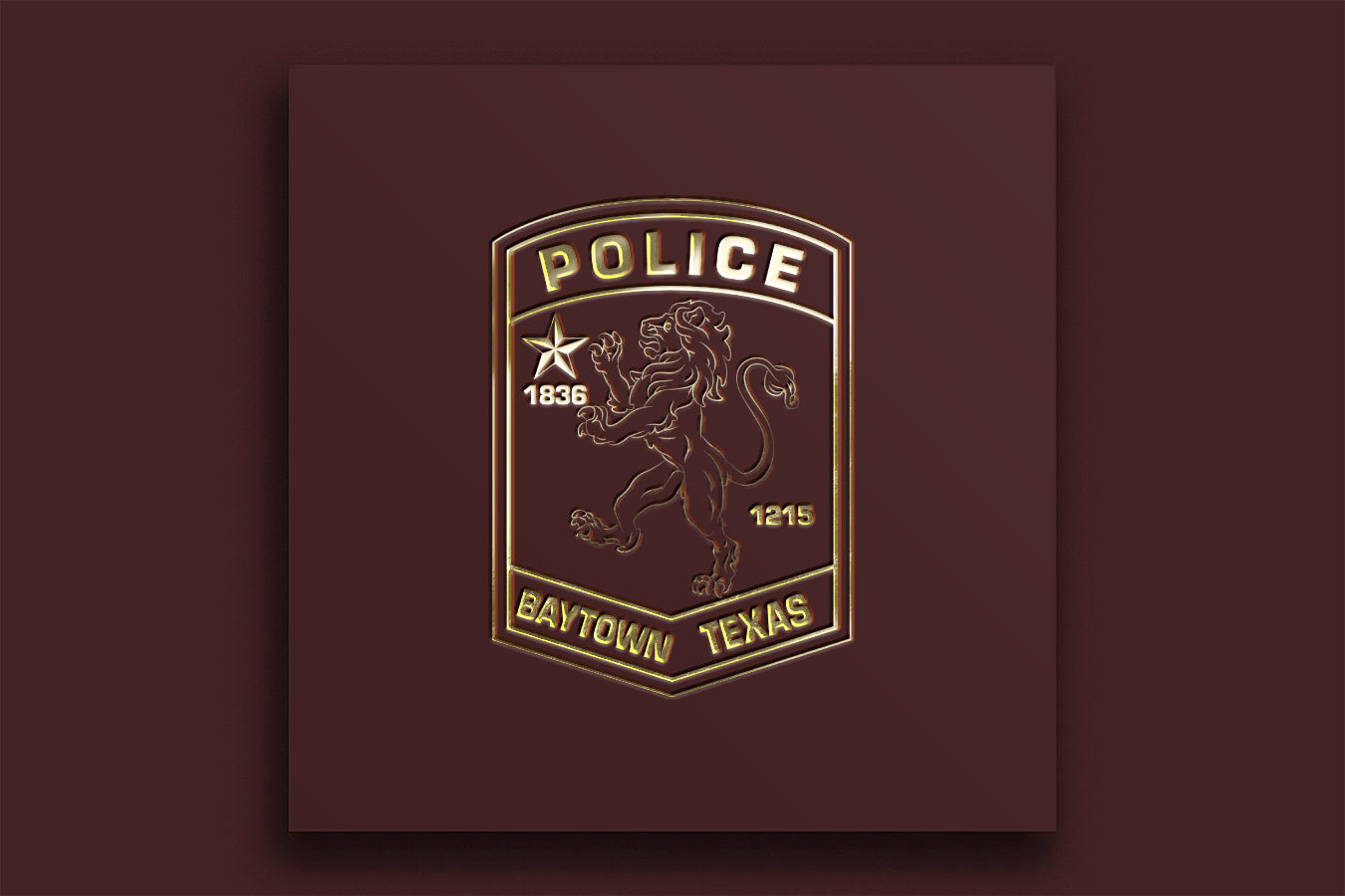 Baytown Police Department Patch, Texas