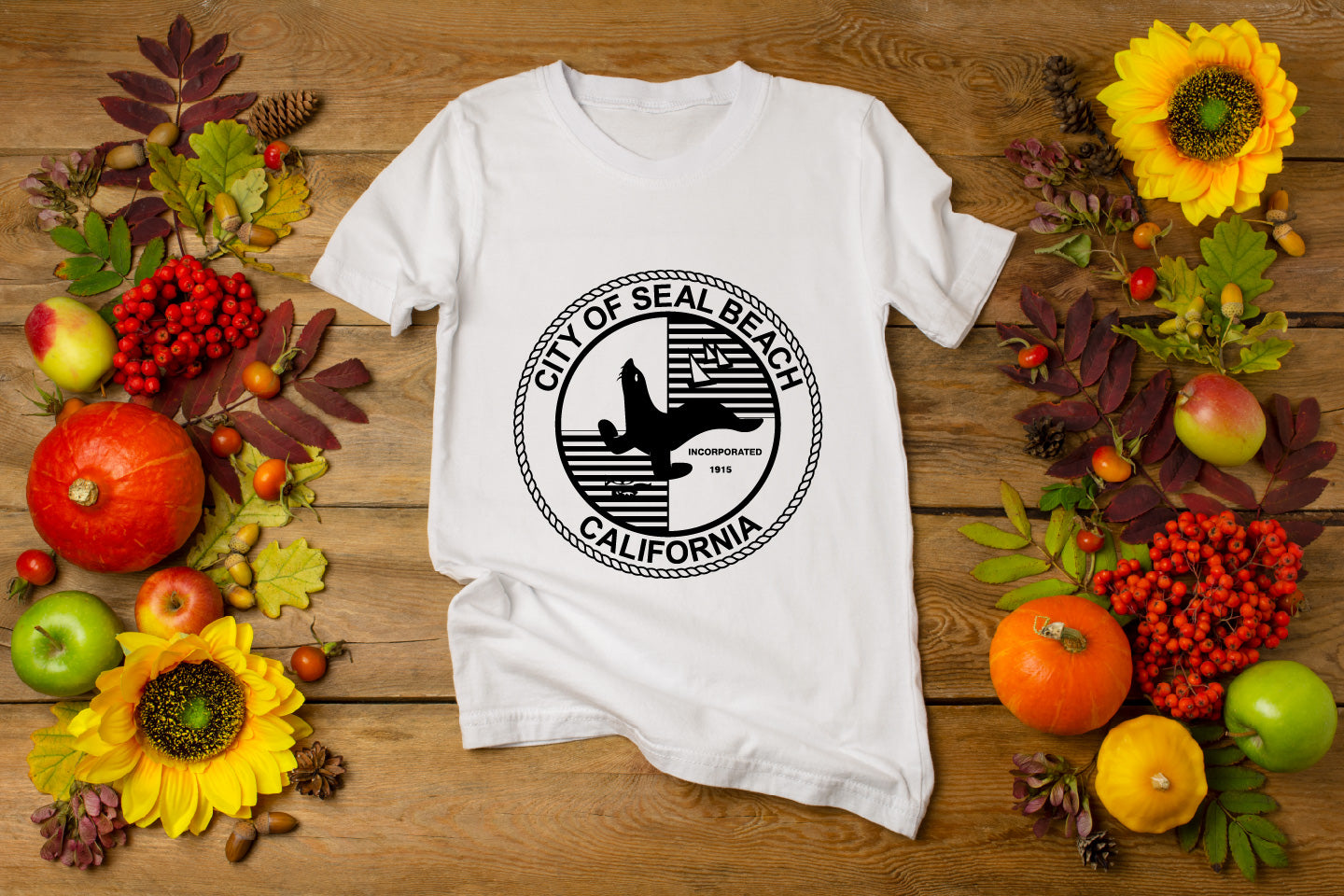 City of Beach Seal California