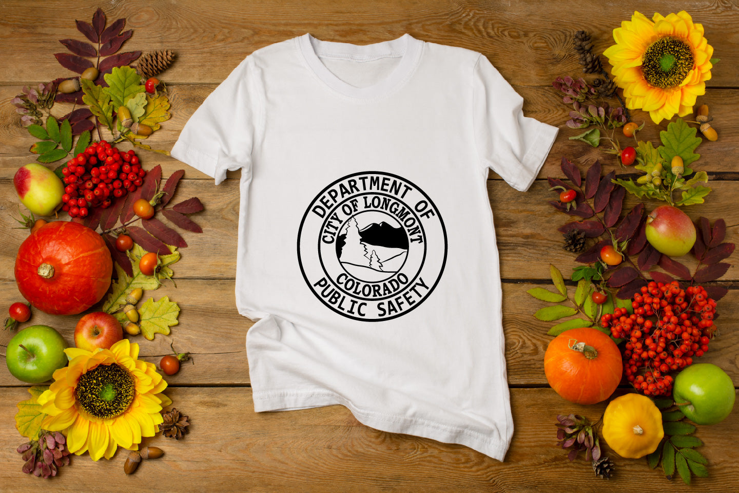 City of Longmont Seal, Colorado