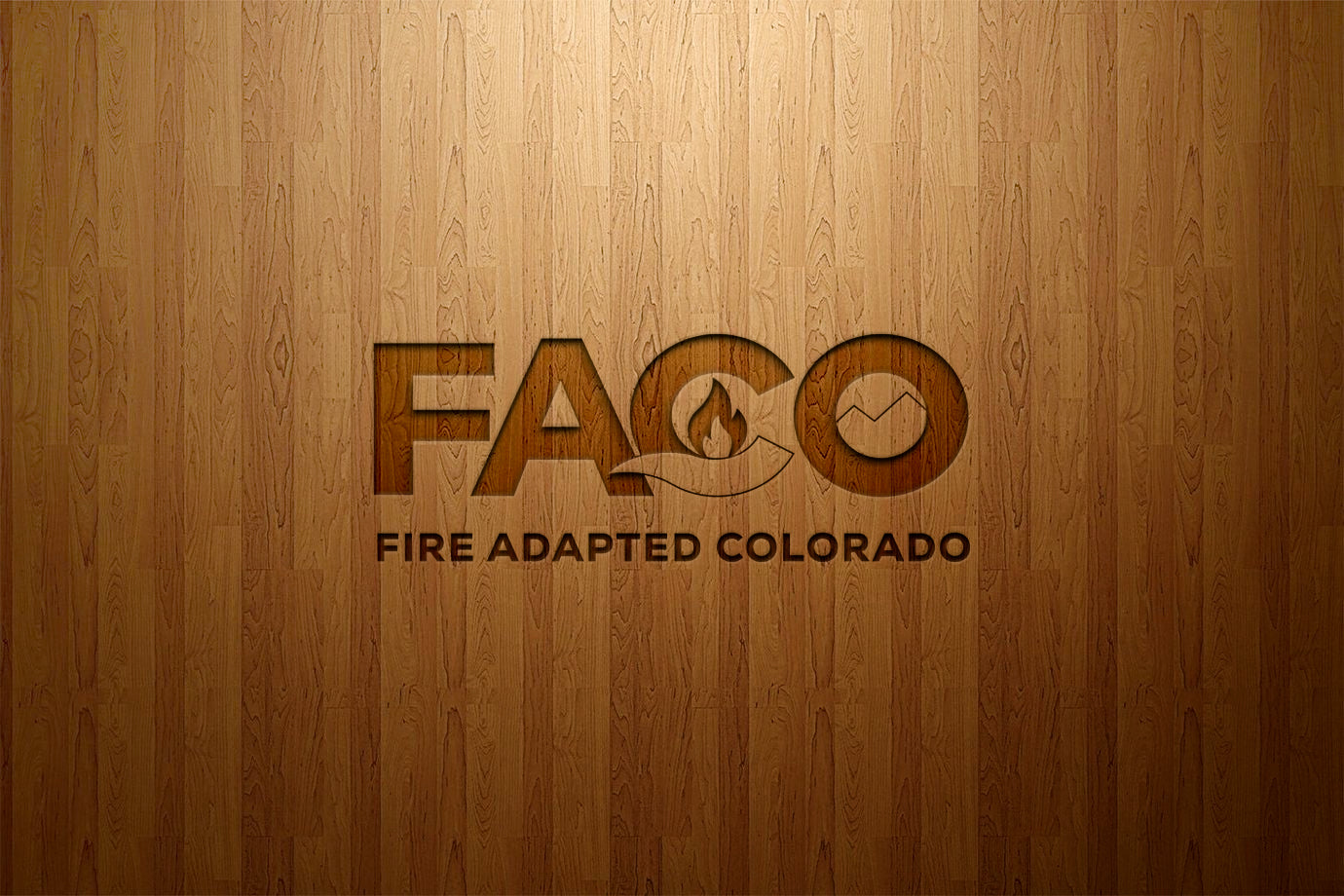 Fire Adapted Colorado (FACO) Logo