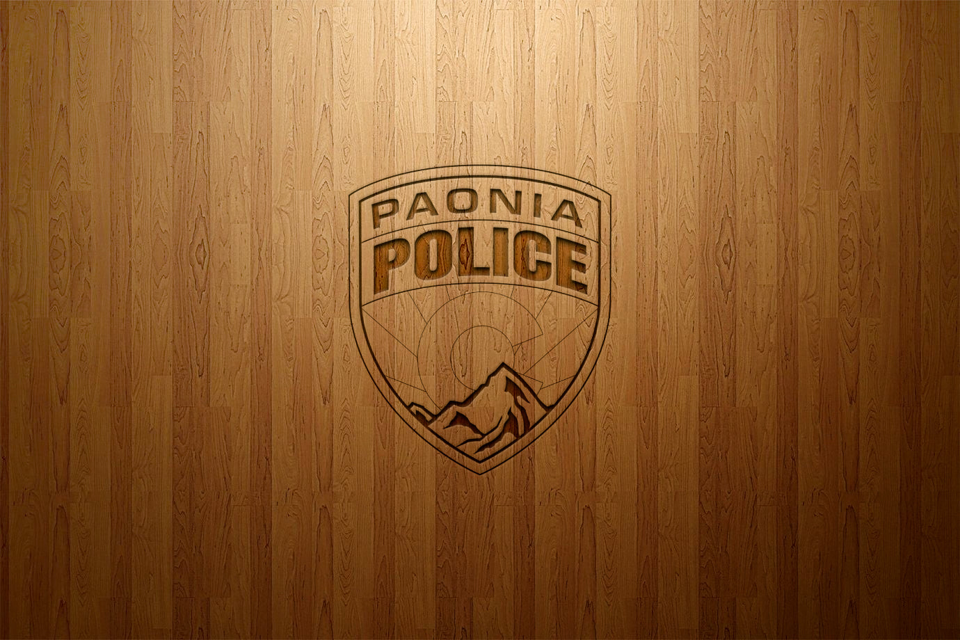 Paonia Police Department Patch, Colorado