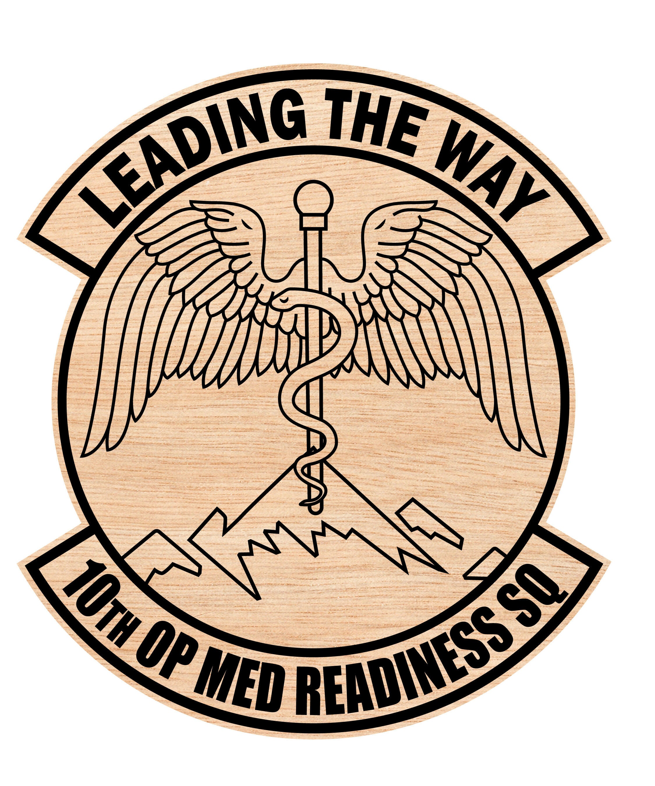 LEADING THE WAY 10th op med readines sq Woodin-01