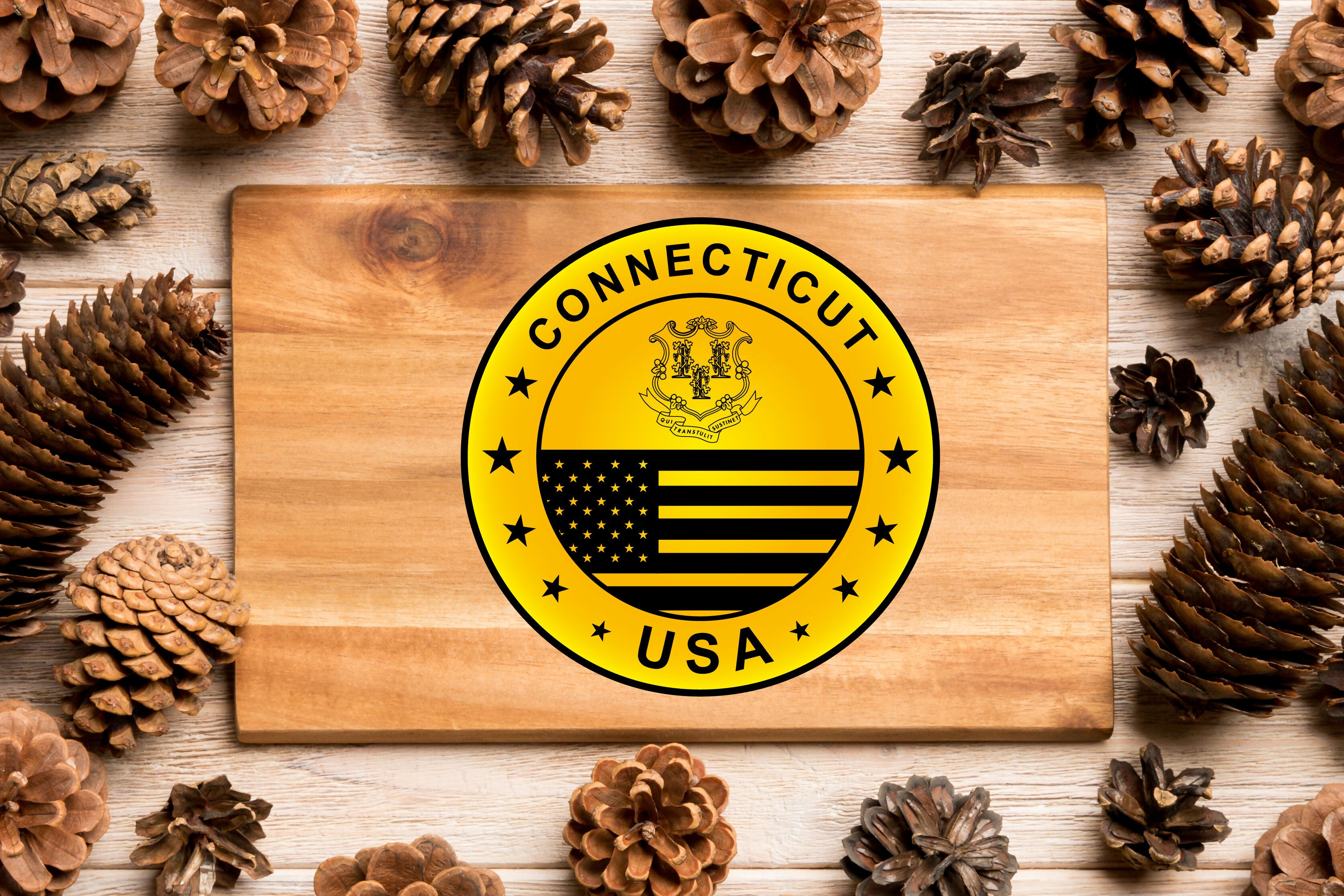 State of Connecticut Seal $-01