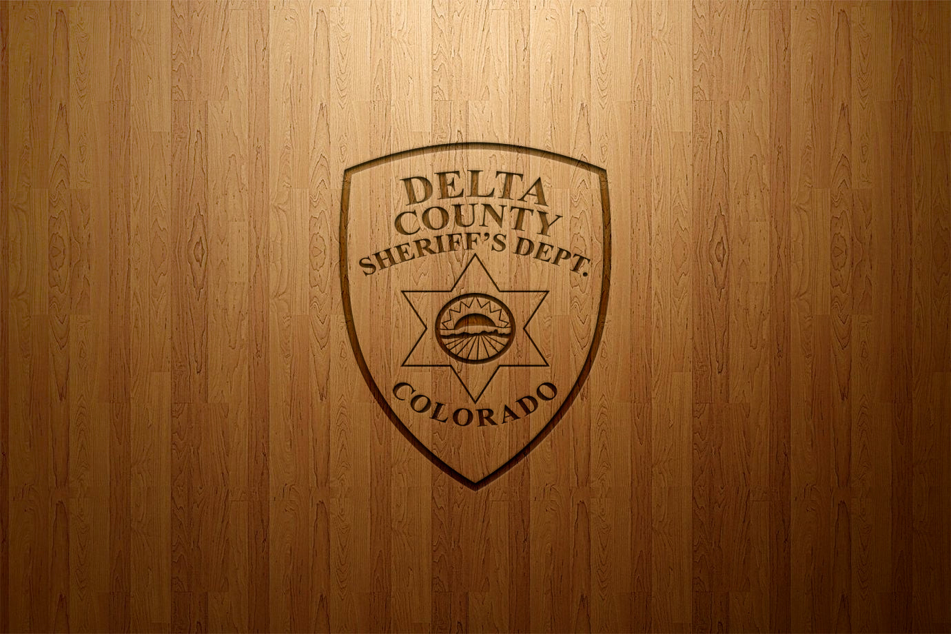 Delta County Sheriff's Department Patch, Colorado