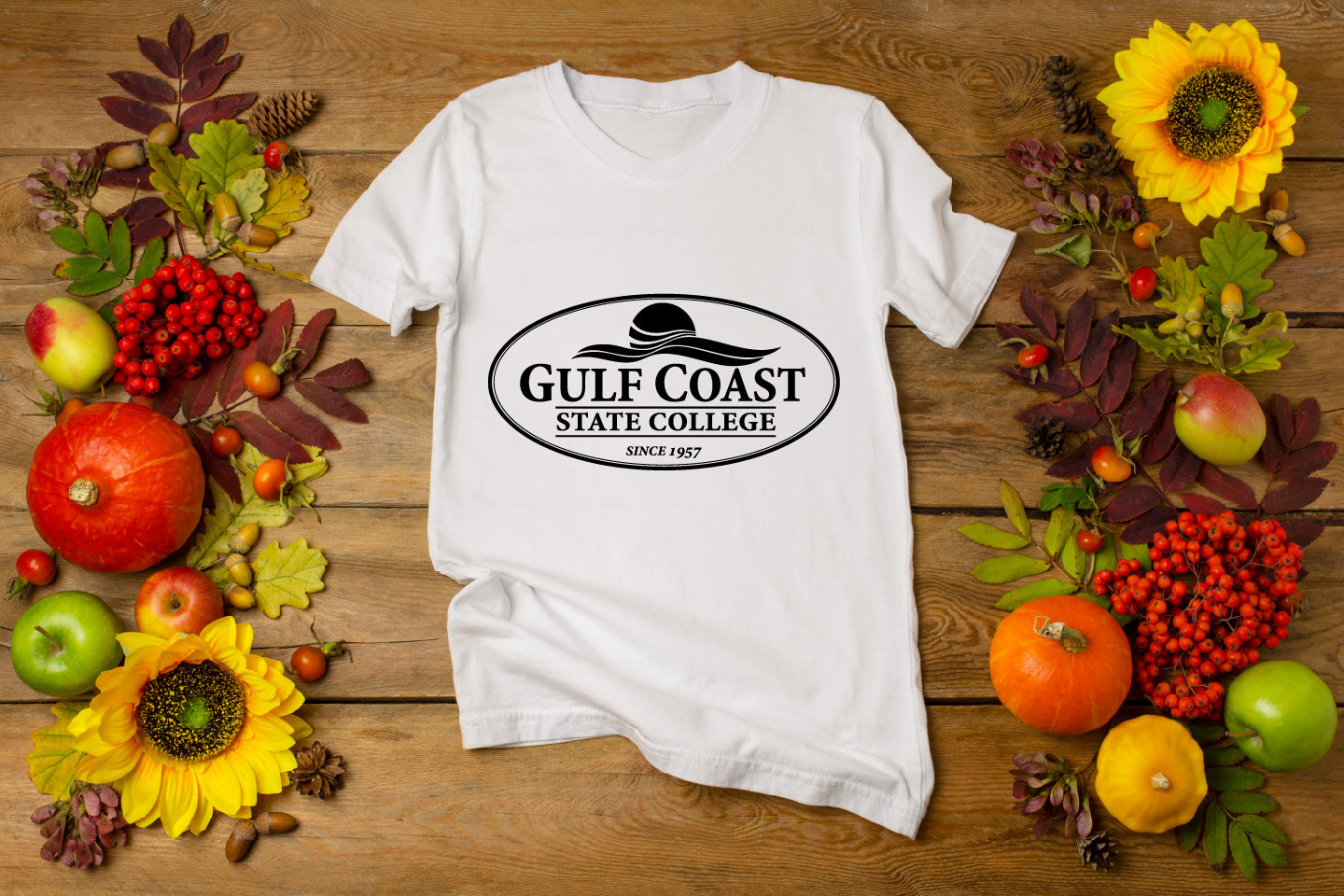 Gulf Coast State College Logo