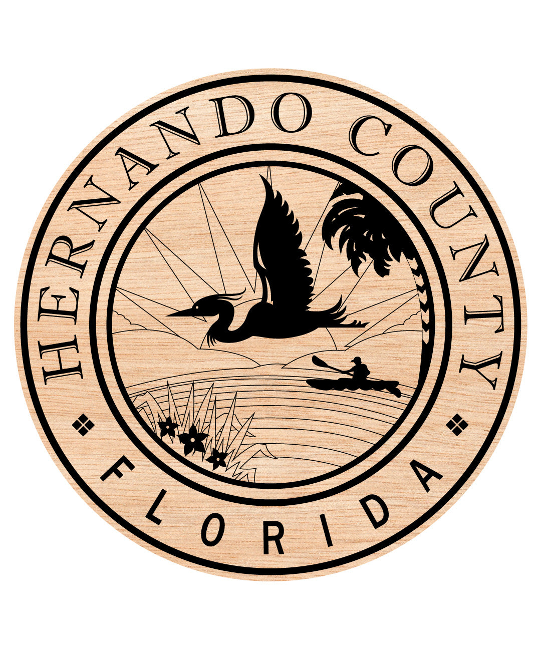 Hernando County Logo Florida