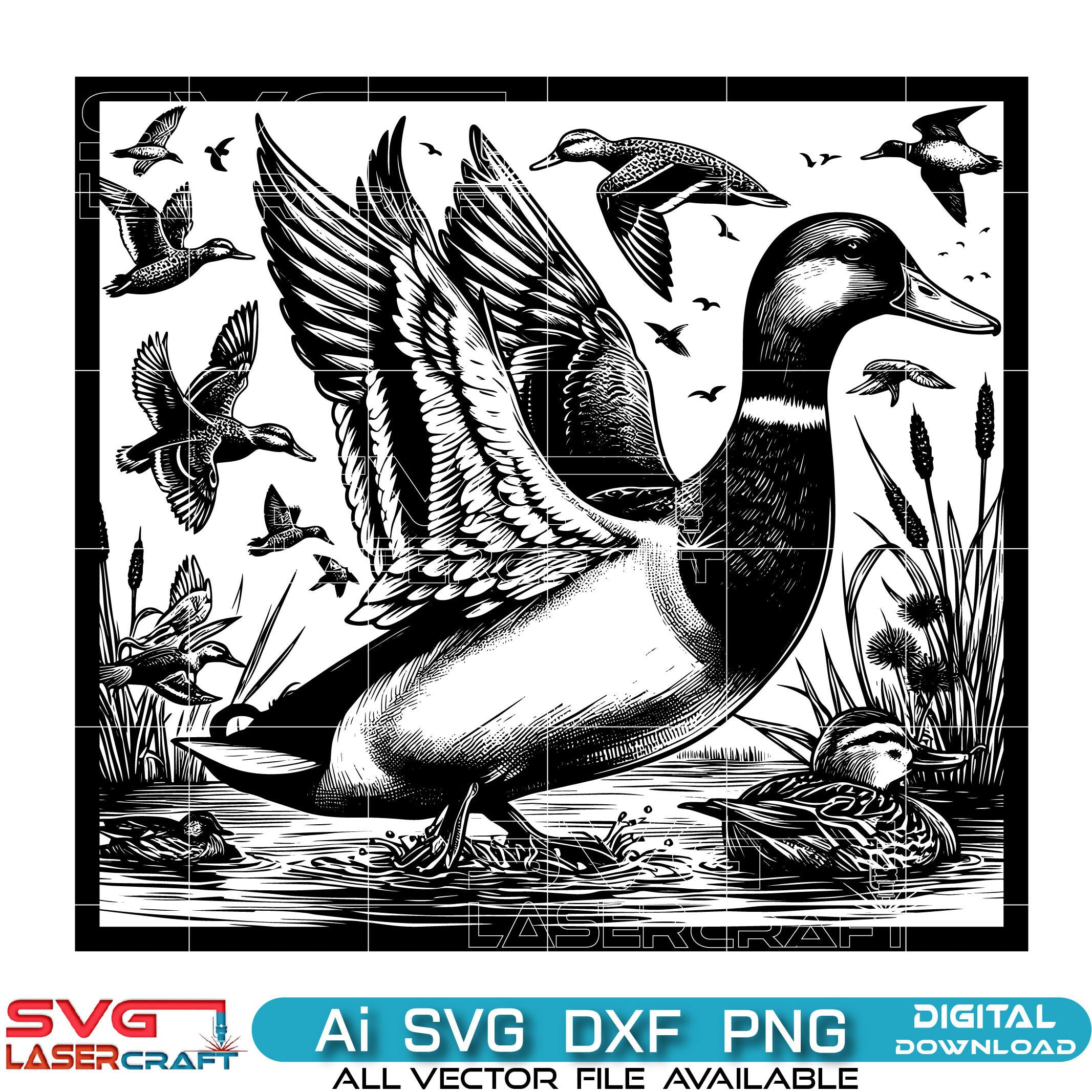 Mallard Duck Svg Vector Art